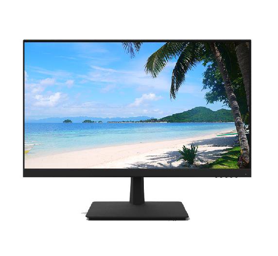 Monitorius DAHUA LM24-H200
