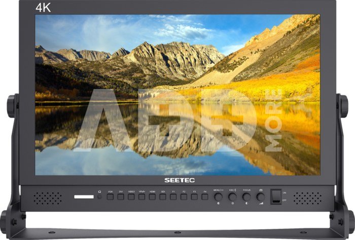 SEETEC MONITOR P173-9HSD 17.3 INCH