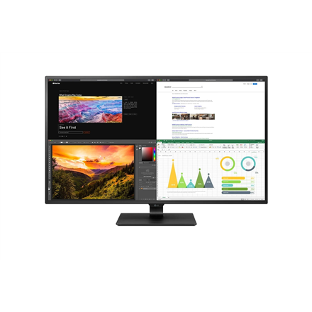 Monitorius LG 43UN700P-B 42.5