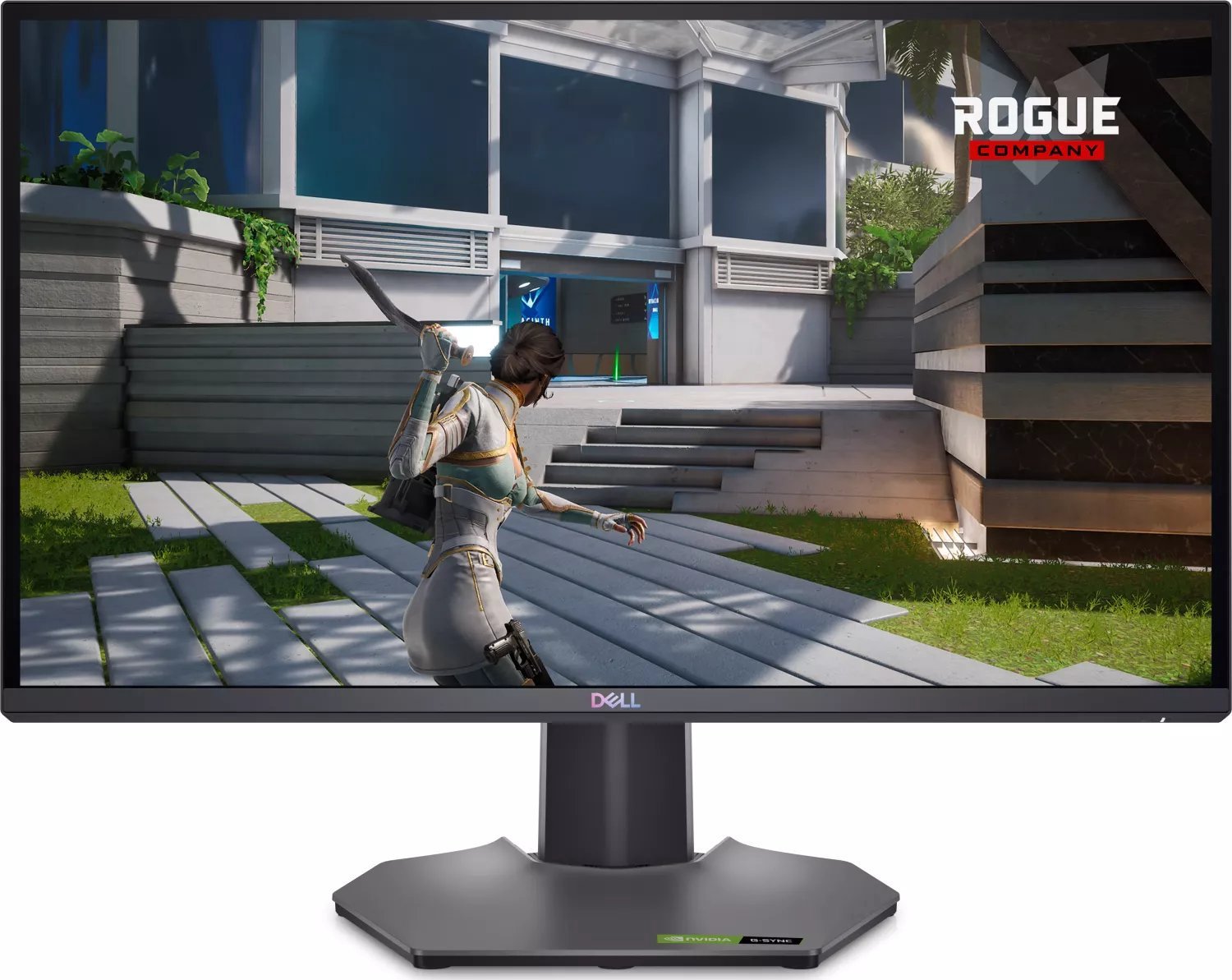 Monitor Dell G2524H (210-BHTQ)