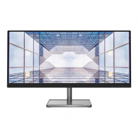 LENOVO Lenovo L29w-30 - 29" UW FHD Monitor - HDMI, DP Monitorius
