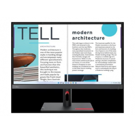 LENOVO ThinkVision S25e-30 - 24,5" Monitor - HDMI Monitorius
