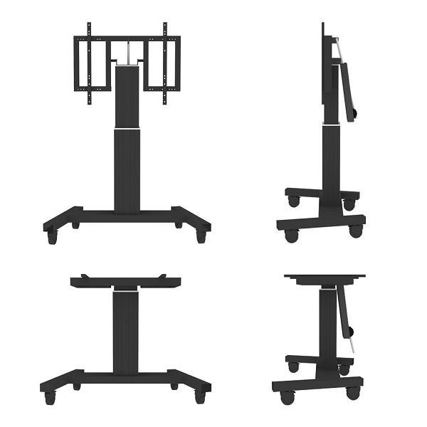 Mobilus stovas NewStar (pakrypimas) - VESA 200 x 200 iki 800 x 600
