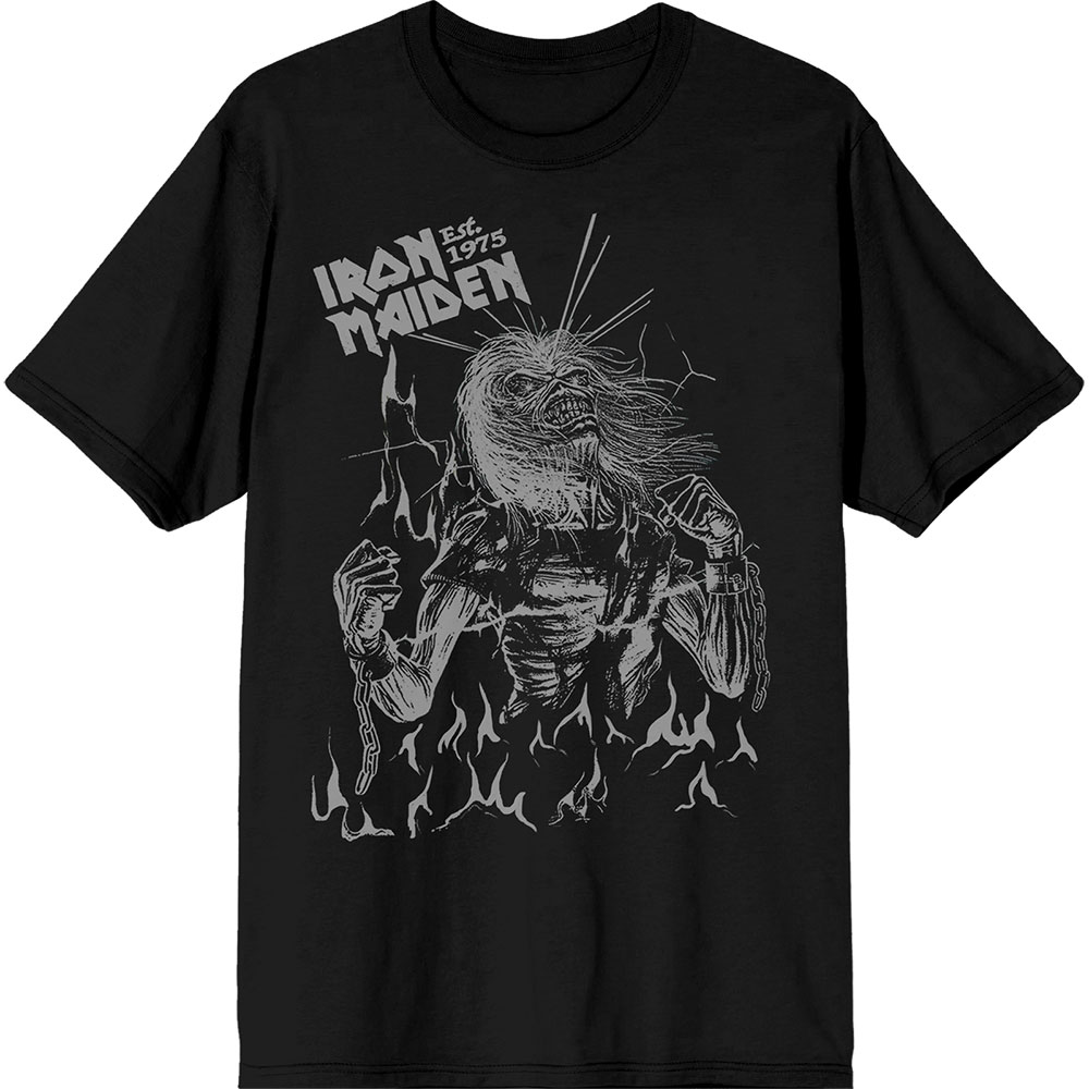 Marškinėliai Iron Maiden Est. 1975 Life After Death Flames