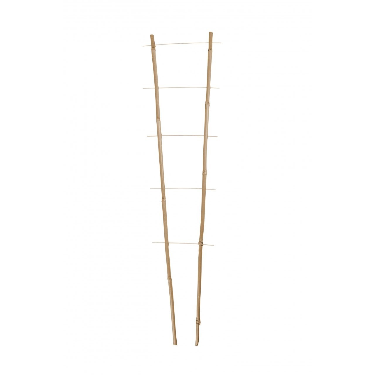 Bambukinės kopetėlės PB2.150, 2 kojų, 6 pakopų, 150 cm