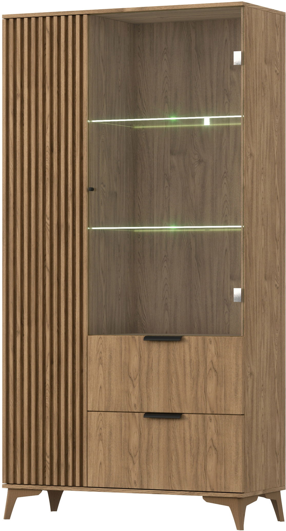Pastatoma vitrina su LED apšvietimu Entsian 100, ąžuolo