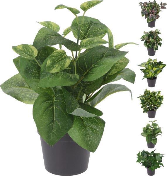 Dirbtinė gėlė vazonėlyje GREEN, 1 vnt