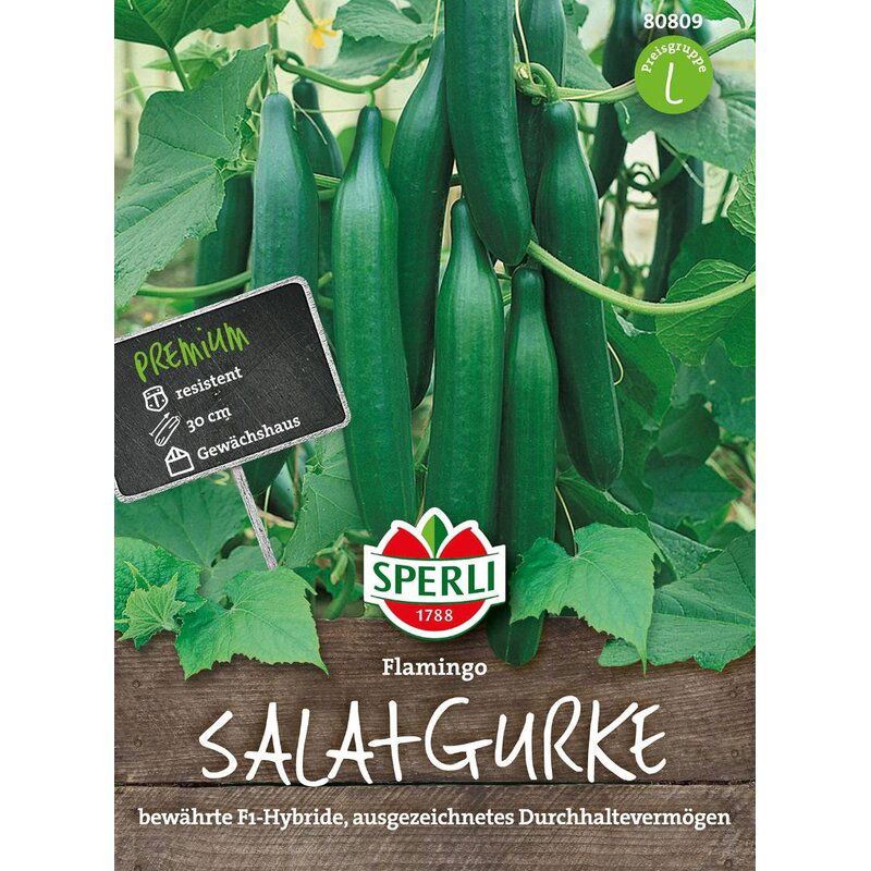 Salotinių agurkų sėklos FLAMINGO, 7 g