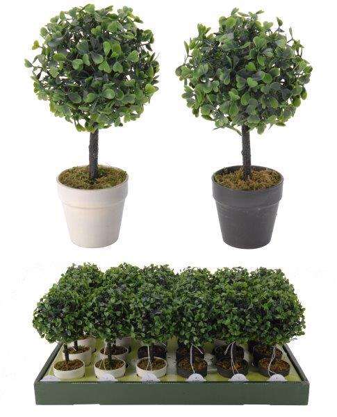 Dirbtinis augalas vazonėlyje BUXUS, 23 cm