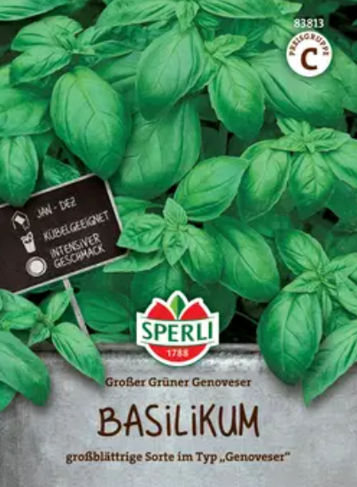Kvapniųjų bazilikų sėklos GROSSES GRUNES, 7 g