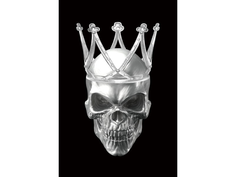 Paveikslas SKULL II, 80x120 cm