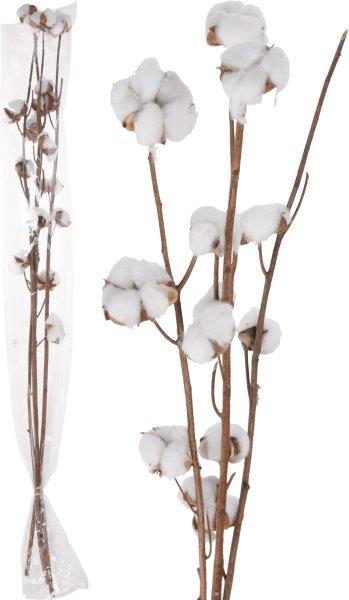 Dekoratyvinė šakelė COTTON, 97 cm