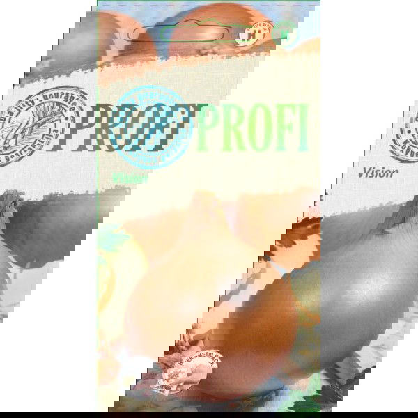 Valgomųjų svogūnų sėklos VISION, 1 g