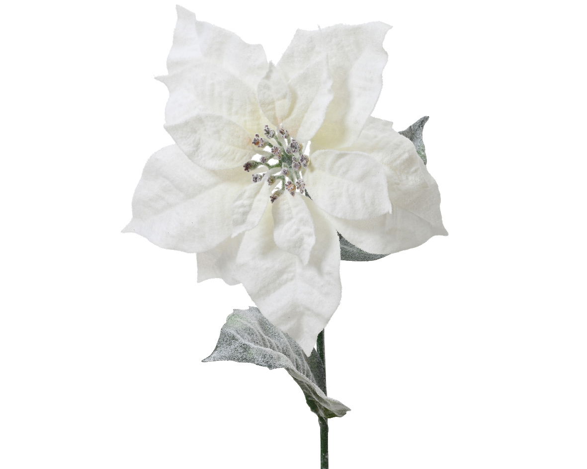 Dirbtinė gėlė POINSETTIA, baltos sp., 8 x 25 x 67 cm, 1 vnt
