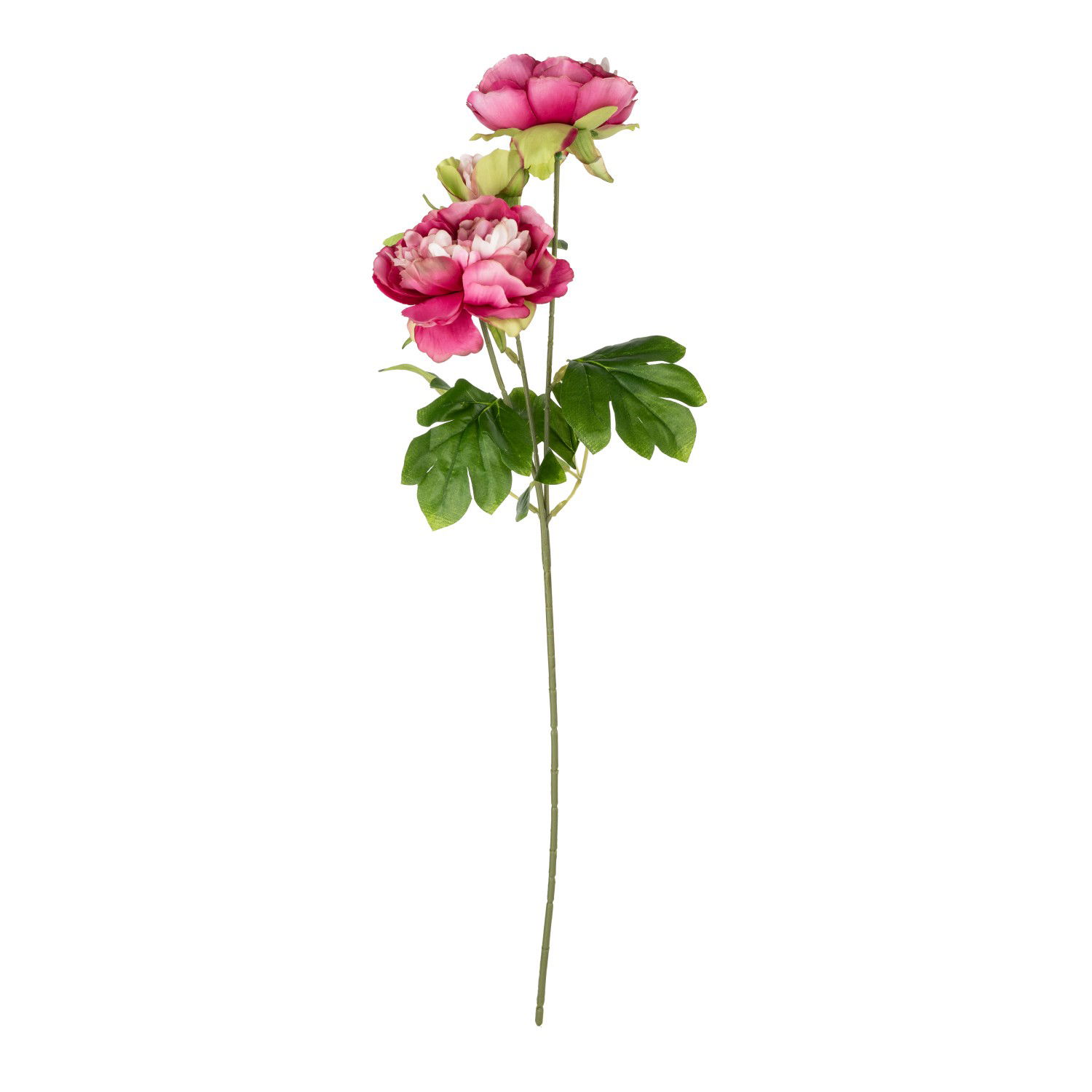 Dirbtinė gėlė ILAJA PEONY, 63 cm
