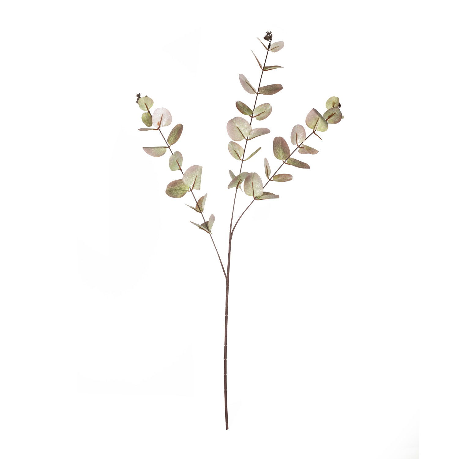 Dirbtinė šakelė ILAJA EUCALYPTUS, 93 cm