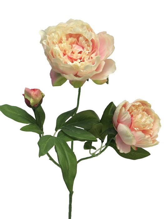 Dirbtinis gėlė Bijūnas, rausvos sp., 70 cm