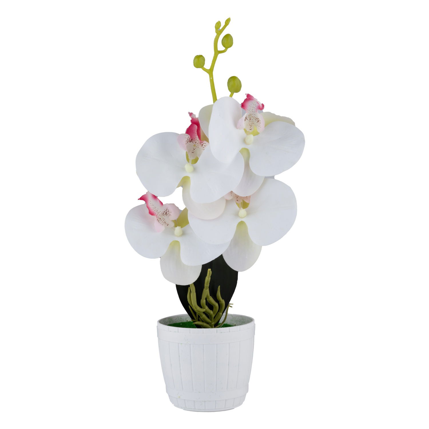 Dirbtinė gėlė vazonėlyje ILAJA ORCHID, baltos sp., 25 cm