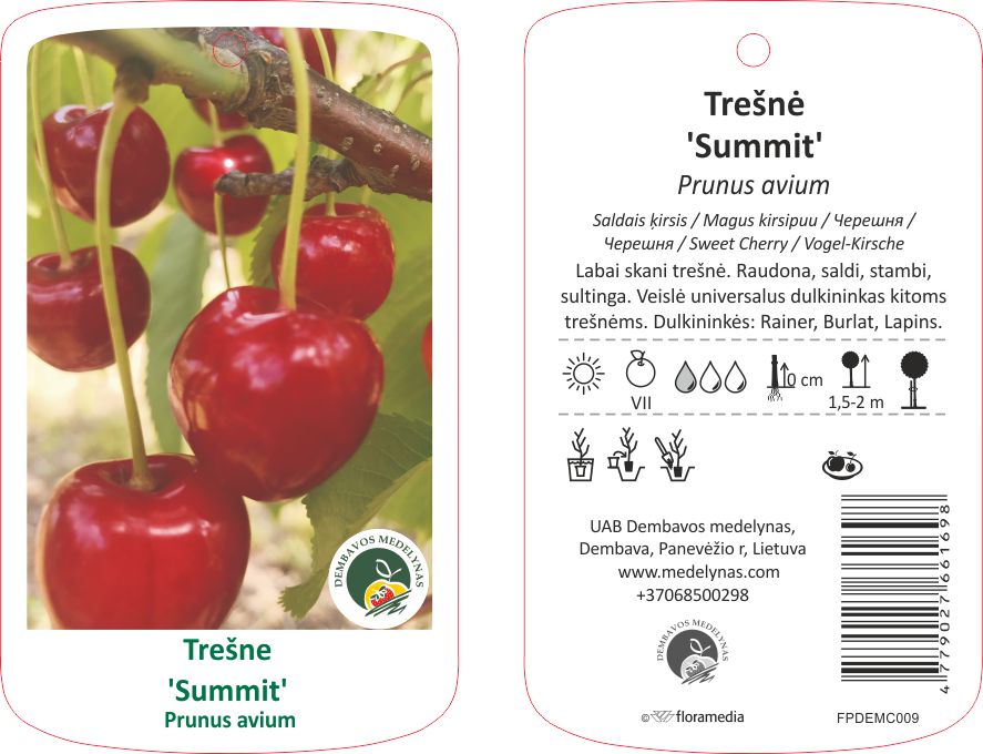 Vaismedis trešnė SUMMIT, lot. PRUNUS AVIUM