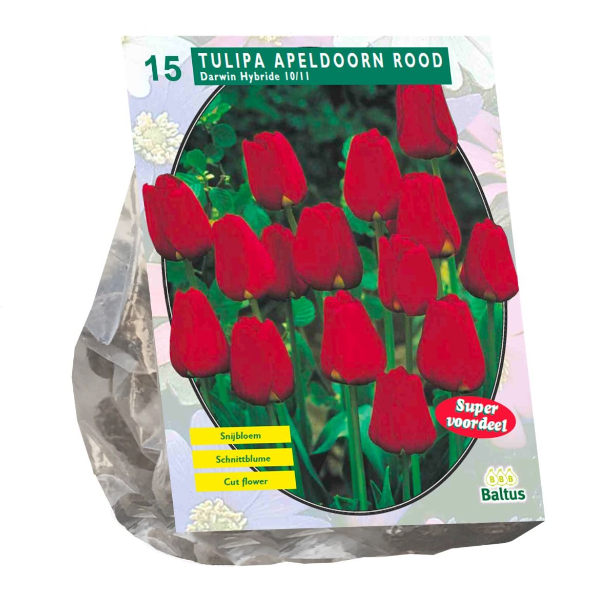 Tulpių svogūnėliai, lot. TULIPA APELDOORN ROOD DARWIN, 10 vnt
