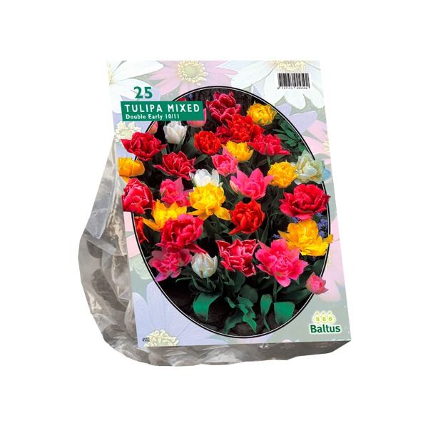 Tulpių svogūnėliai, lot. TULIPA DUBBEL MIX, 15 vnt