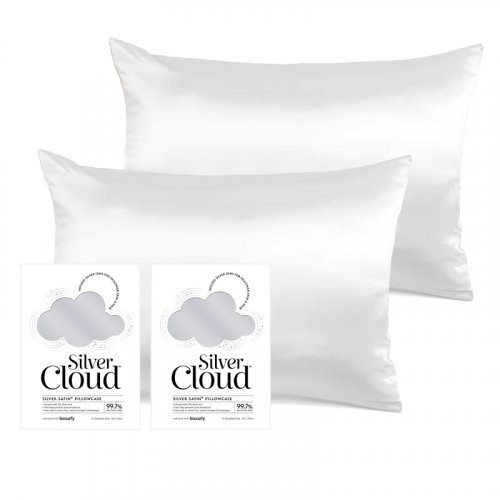 Silver Cloud Satin Pillowcase Twinpack Sidabro jonais prisotintas satino pagalvių užvalkalai, Silver