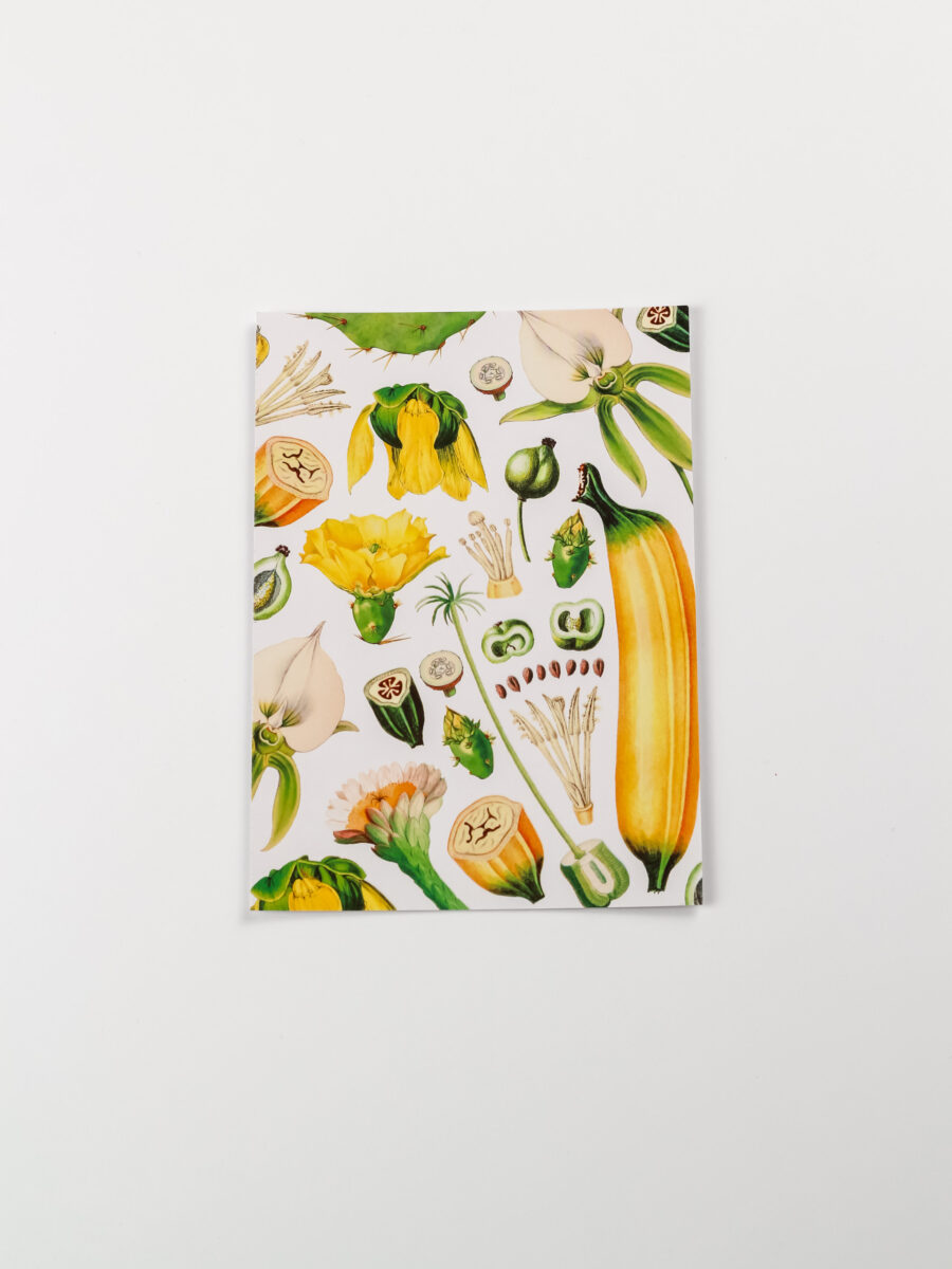 Atvirukas "Botaninė įvairovė"