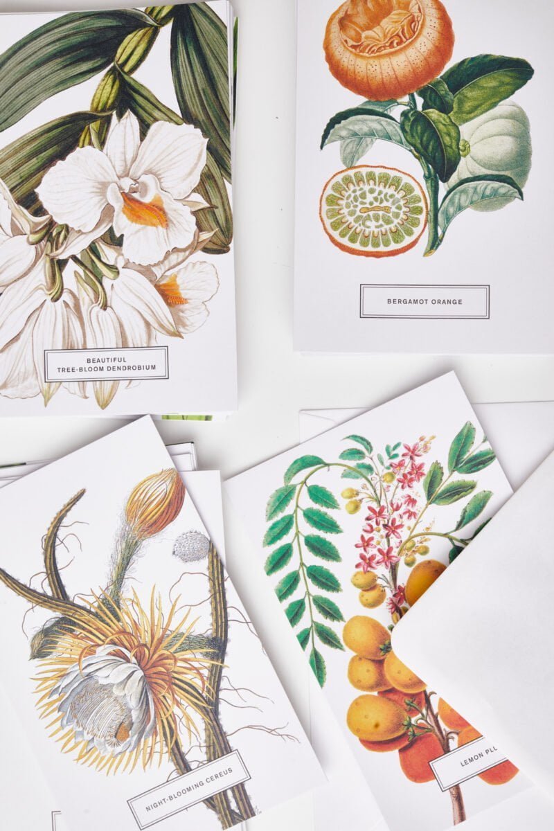 Vintažinis atvirukas iš „Botanicals“ kolekcijos
