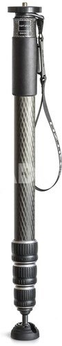 Gitzo monopod GM4542