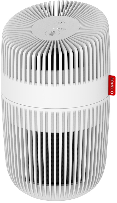 Oro valytuvas Boneco P130