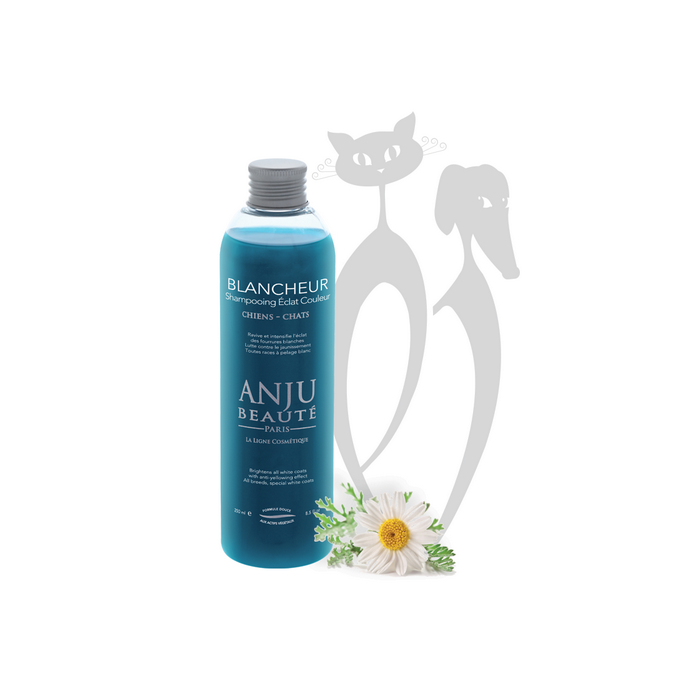Anju Blancheur baltą spalvą išryškinantis šampūnas, 250 ml