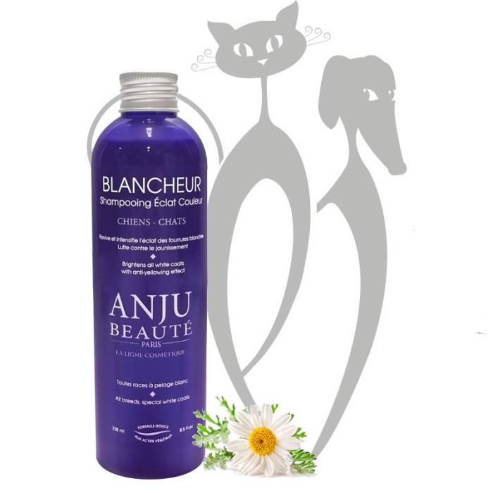 Anju Blancheur baltą spalvą išryškinantis šampūnas, 2,5 l