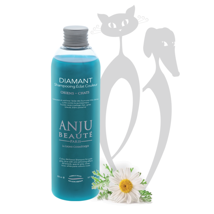 Anju Diamant pilkus atspalvius atgaivinantis šampūnas, 250 ml