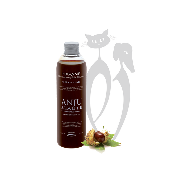 Anju Havane rudą kailį ryškinantis šampūnas, 250 ml