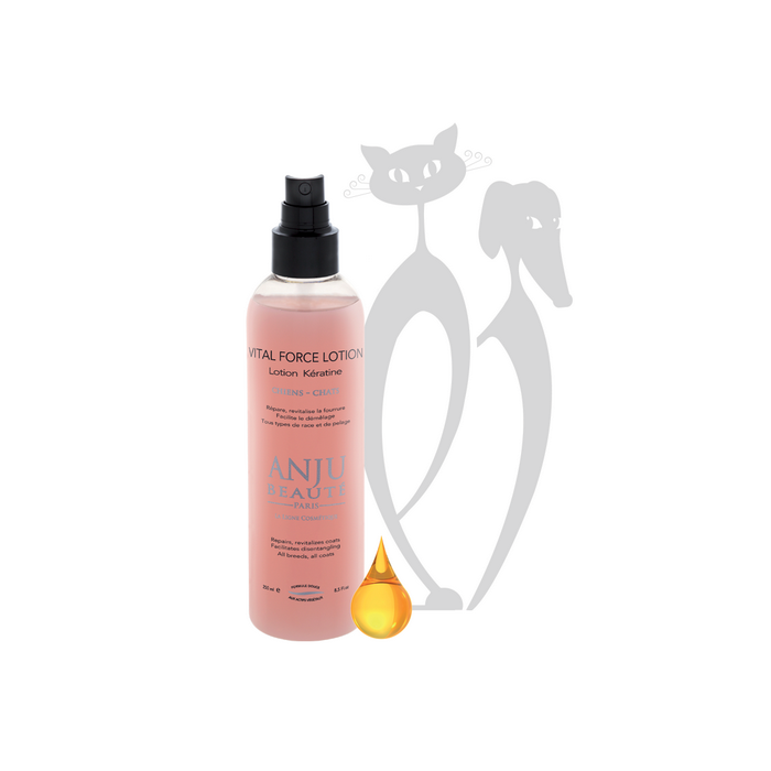 Anju Vital Force atkuriantis losjonas, 250 ml