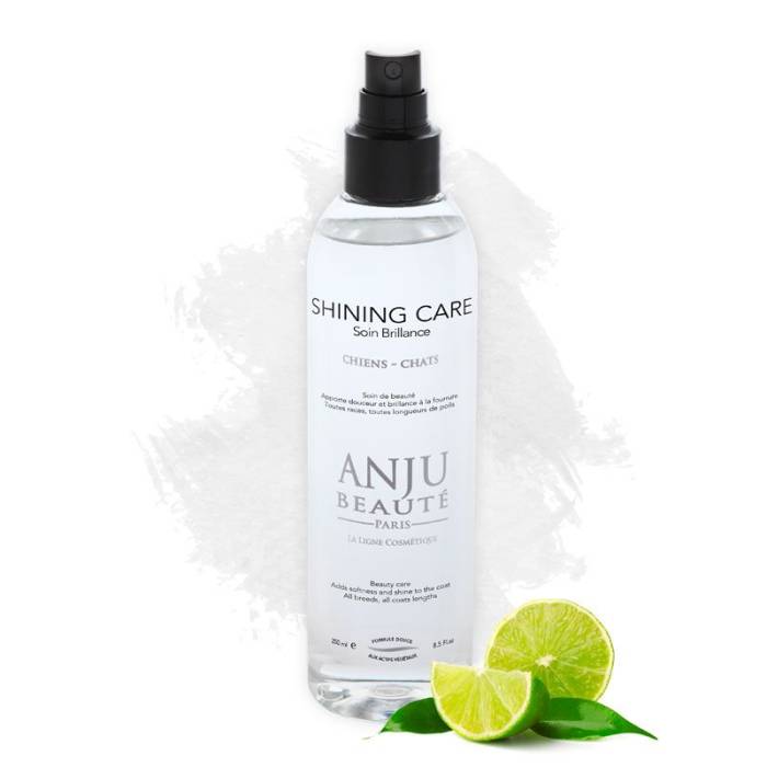 Anju Shining losjonas suteikiantis apimties ir blizgesio, 250 ml