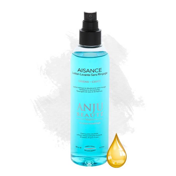 Anju Aisance nenuplaunantis valantis losjonas, 250 ml