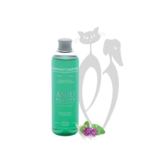 Anju Purifiant Camphere giliai valantis, dezodoruojantis šampūnas šunims ir katėms, 250 ml