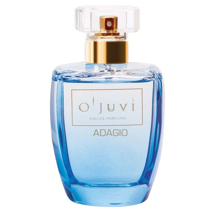 Parfumuotas vanduo Ojuvi Eau De Parfum Adagio For Men OJUADAGIO, vyriškas, 100 ml