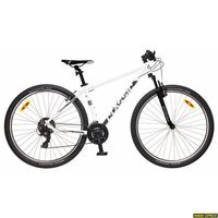Dviratis 29 CLASSIC TEAM 29 29 white classic