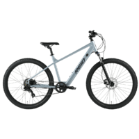 Dviratis 29 LETS MTB grey reid