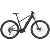 Dviratis 29" elektrinis Bulls Sonic EVO 1 750Wh 10 g juodas matinis