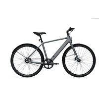 Dviratis 28" elektrinis Tenways CGO600 PRO 250Wh vyr. pilkas matinis