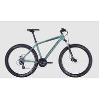 Dviratis 29 Bulls Wildtail 2 Disc vyr. 24g žalias