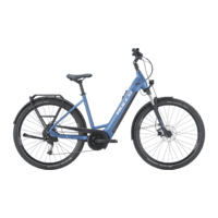 Dviratis 29" elektrinis Bulls Allground EVO 500Wh wave 9g mėlynas