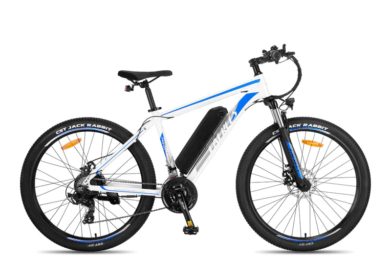 FAFREES F28 MT 250W elektrinis dviratis