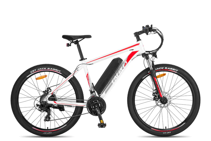 FAFREES F28 MT 250W elektrinis dviratis