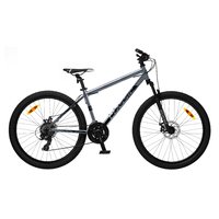 Dviratis 26 CLASSIC PRO 26 DISC 26 metallic classic