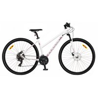 Dviratis 28 CLASSIC STREET 21 LADY DISC 21k 29 white classic