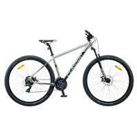 Dviratis 29 CLASSIC PRO 29 21k 29 silver classic